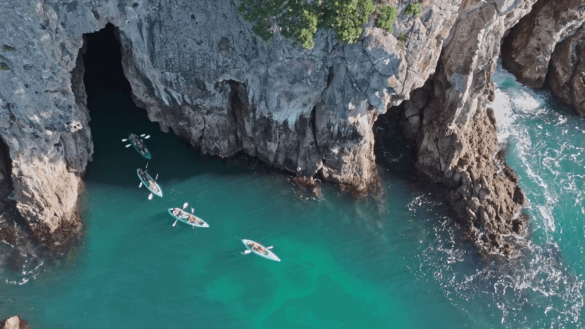 How to Visit Donut Island (Whenuakura) in Whangamatā – The Complete Guide